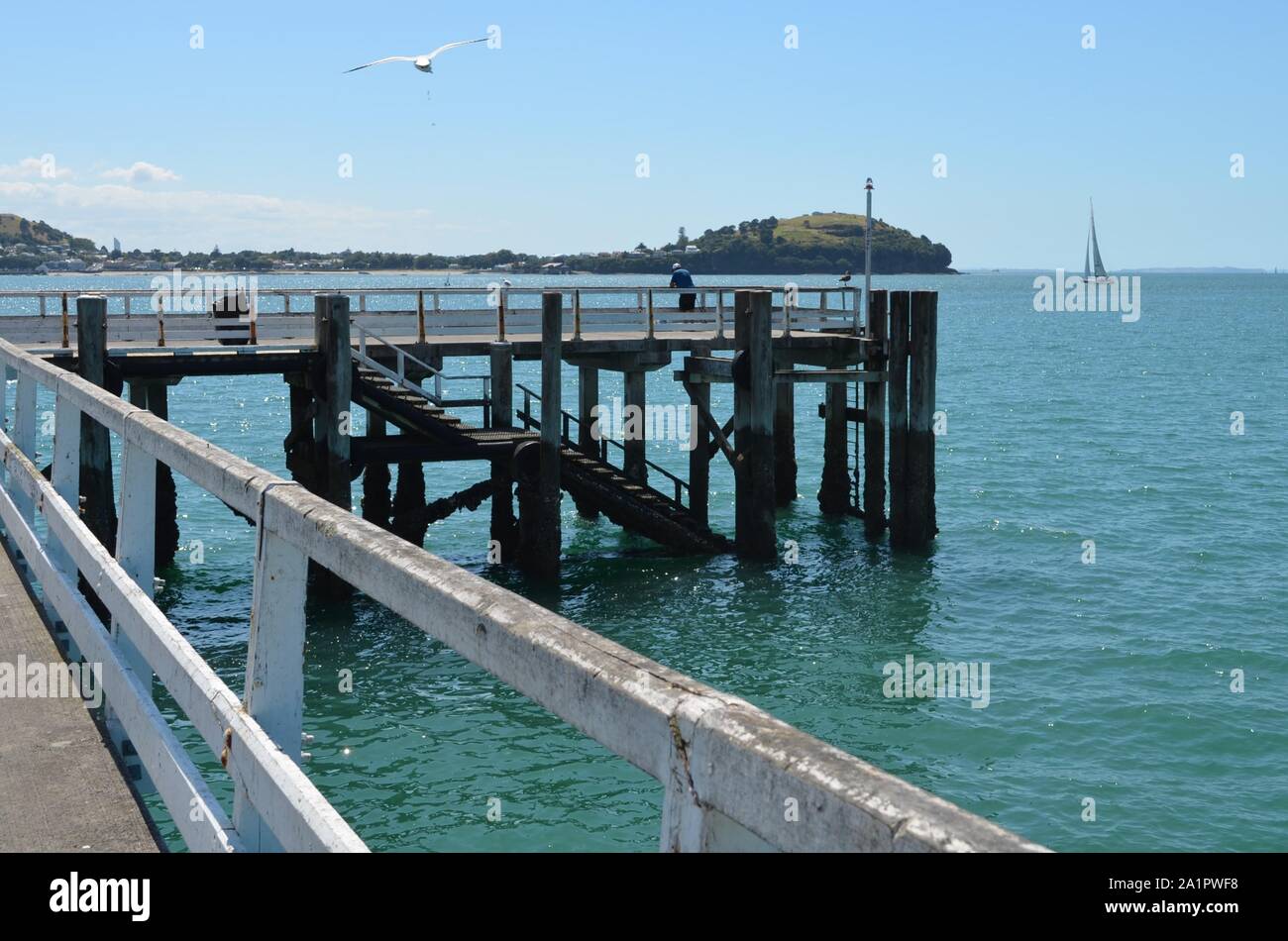 Porto di Auckland pier con una vista di Devonport verdi colline e il blu oceano Foto Stock