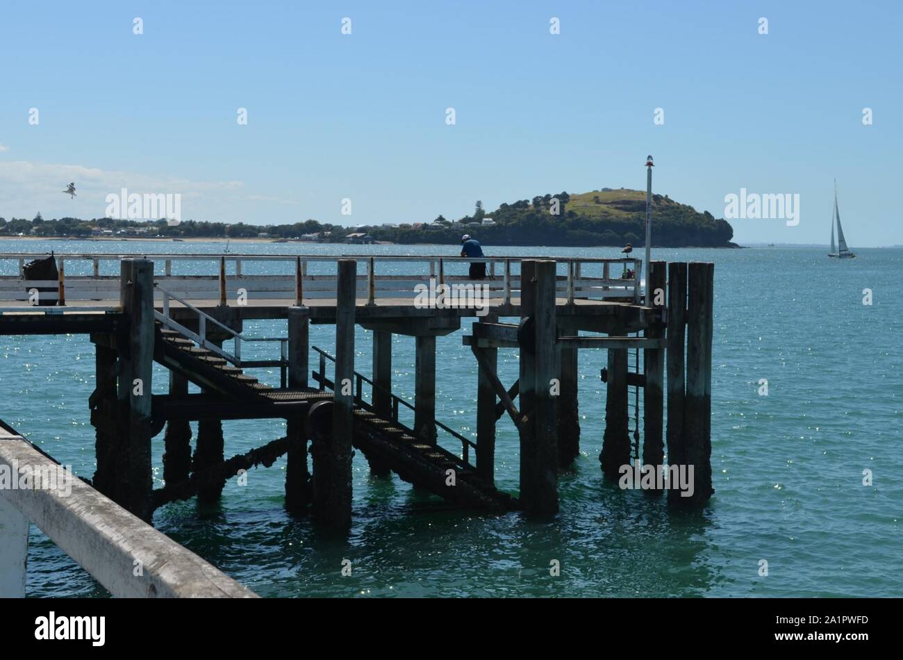 Il molo di legno in Auckland con una vista di Devonport Foto Stock