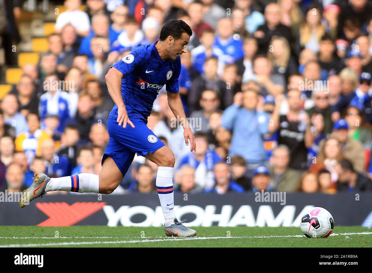 Londra, Regno Unito. 28 Sep, 2019. Pedro del Chelsea in azione. Premier League, Chelsea v Brighton & Hove Albion a Stamford Bridge di Londra sabato 28 settembre 2019. Questa immagine può essere utilizzata solo per scopi editoriali. Solo uso editoriale, è richiesta una licenza per uso commerciale. Nessun uso in scommesse, giochi o un singolo giocatore/club/league pubblicazioni. pic da Steffan Bowen/ Credito: Andrew Orchard fotografia sportiva/Alamy Live News Foto Stock