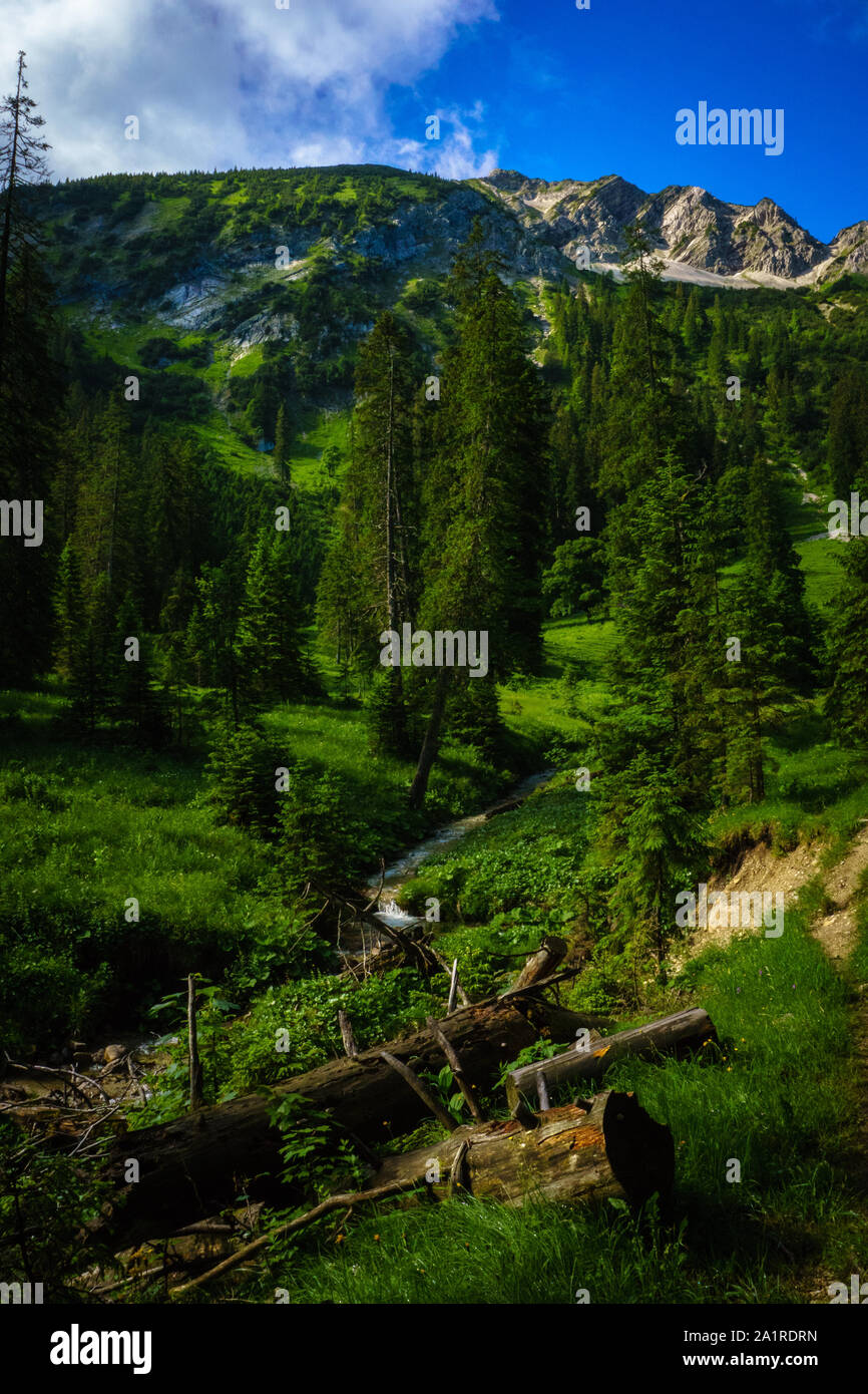 Sulla strada per Hasentalkopf, Ammergauer Alpen. Foto Stock