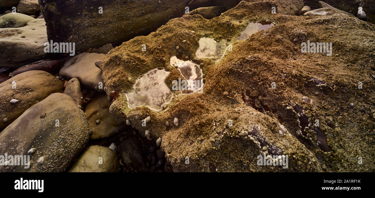 Paesaggio, massi sulla spiaggia naturista di Covehurst Bay, East Sussex, Inghilterra, Regno Unito, Europa Foto Stock