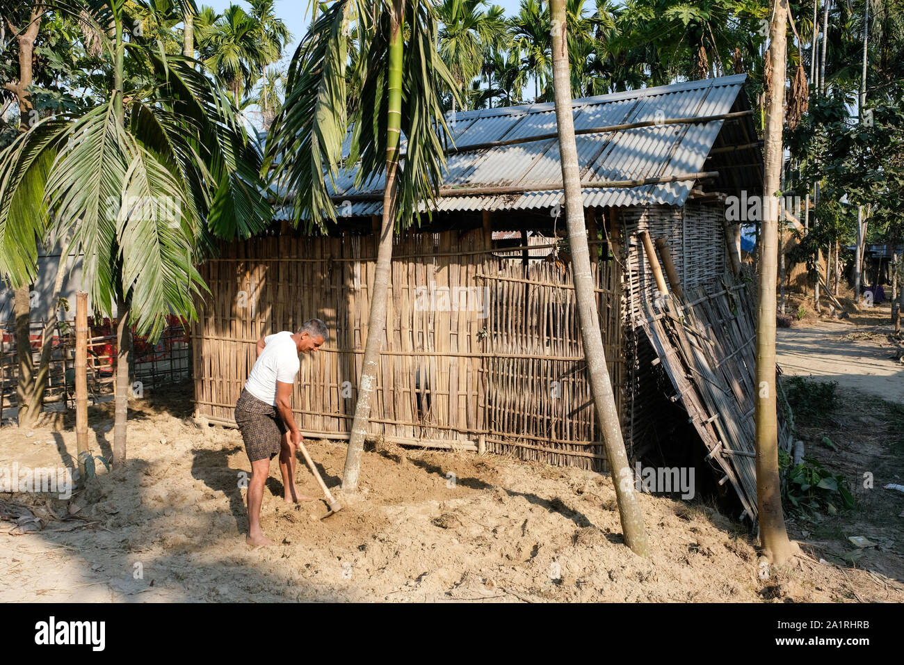 L uomo è zappando nel suo giardino nella parte anteriore della sua capanna di bambù nel villaggio Ullubari, stato di Assam, in India Foto Stock
