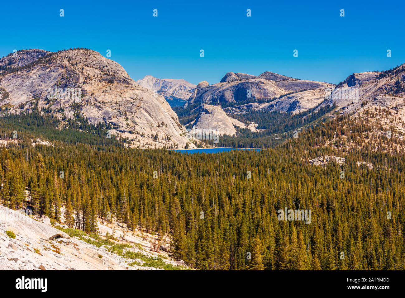 Lago di montagna nel Parco Nazionale di Yosemite in California, Stati Uniti d'America Foto Stock