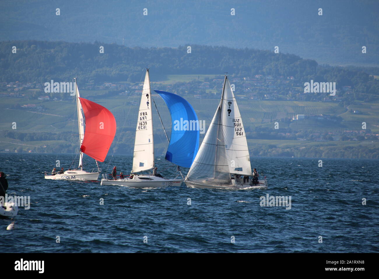 Regata a vela sul lago di Ginevra nel porto di Thonon-les-Bains con alcuni villaggi svizzeri in background Foto Stock