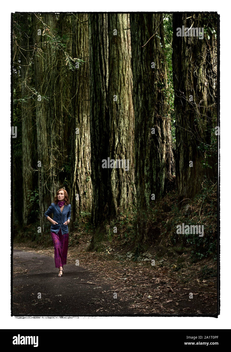 Data di rilascio: ottobre 25, 2019 Titolo: Frankie STUDIO: Sony Pictures Classics direttore: Ira Sachs trama: tre generazioni alle prese con un'esperienza che cambia la vita durante un giorno di vacanza a Sintra, Portogallo, una storica città nota per i suoi giardini densa e fiabesca ville e palazzi. STARRING: ISABELLE HUPPERT come Frankie. (Credito Immagine: © Sony Pictures Classics/Entertainment Immagini) Foto Stock