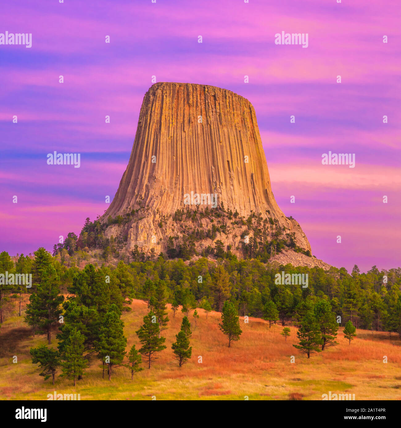 Sunset over Devils Tower presso devils tower National Monument vicino a hulett, wyoming Foto Stock