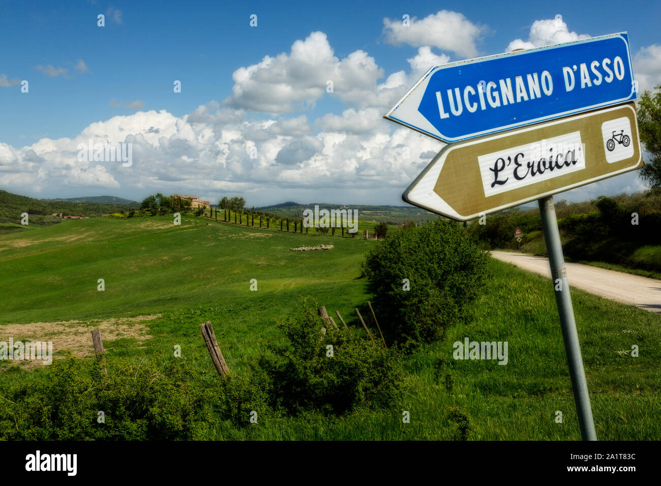 Lucignano d'Asso, Toscana/ Italia - Aprile 28, 2019: Cartello stradale con il verde delle colline e agriturismo/estate in background. Pecore in background. Foto Stock