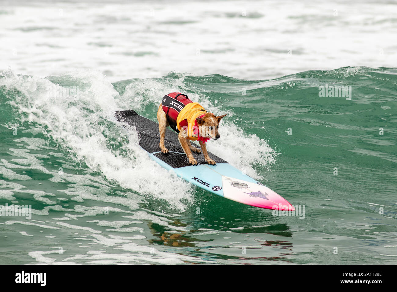 Huntington Beach, CA, Stati Uniti d'America. 28 Settembre, 2019. Catture Skyler un'onda. Credito: Ben Nichols/Alamy Live News Foto Stock