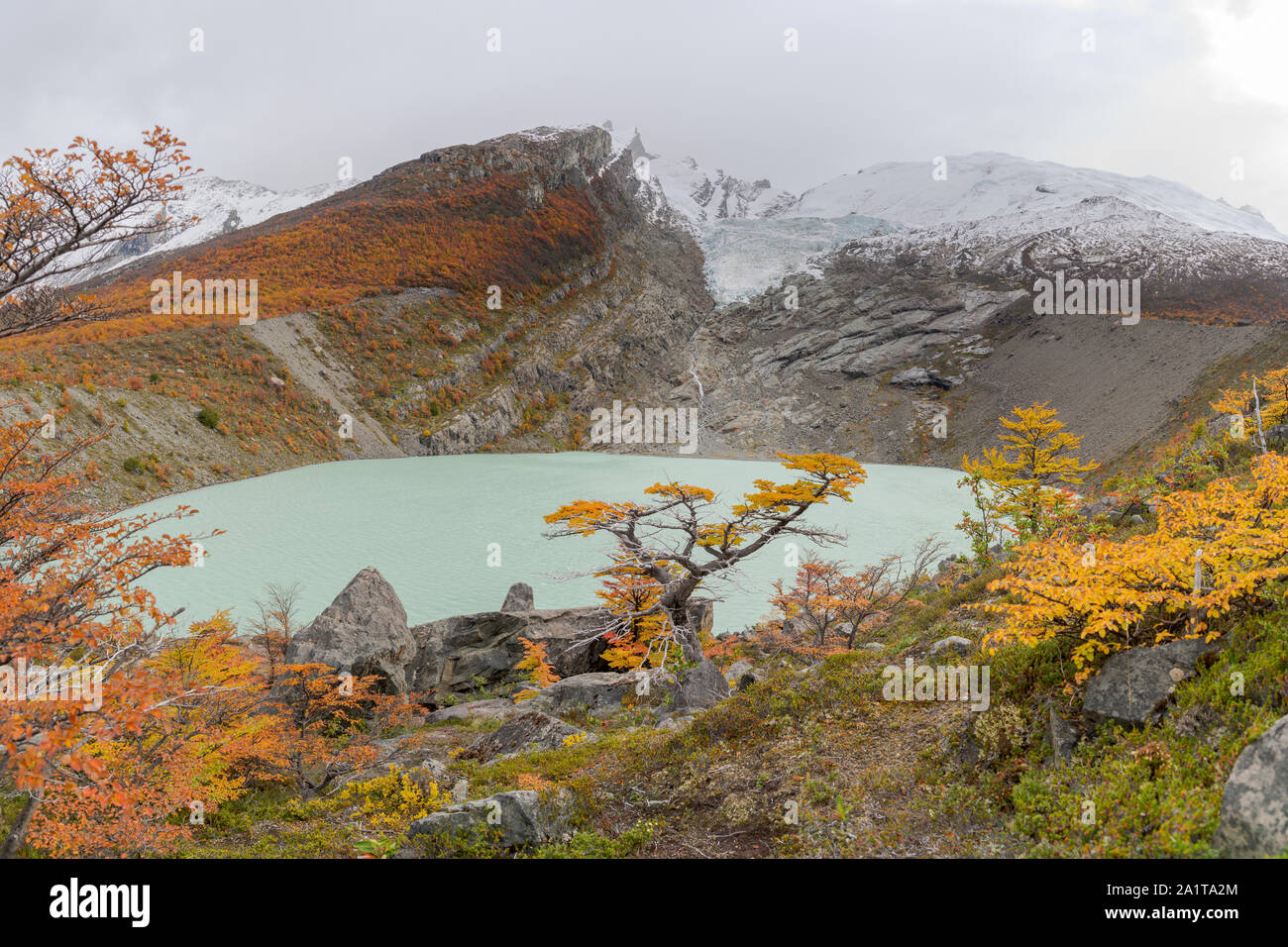 Glaciar Huemul, El Chalten, Argnetina Foto Stock