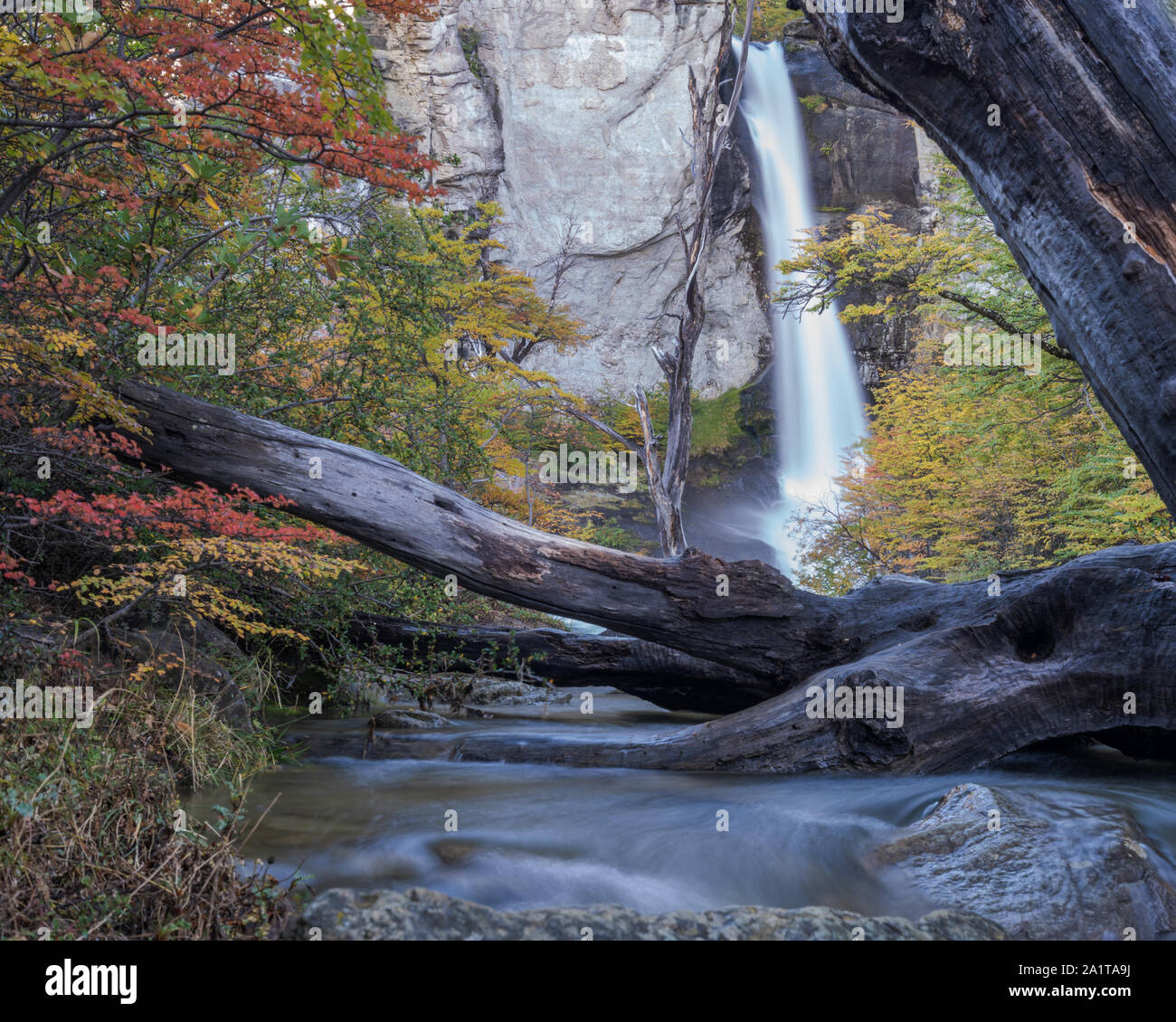 Chorrillo del Salto, El Chalten Argentina Foto Stock