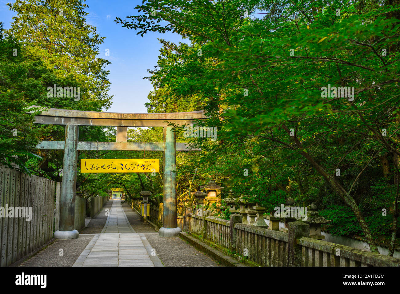 Kagawa, Giappone - 25 Luglio 2019: Torii gate lungo il percorso del pellegrinaggio al Santuario di Kotohiragu. Foto Stock