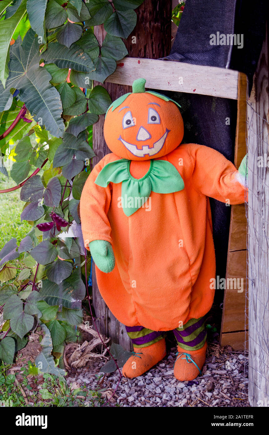 Halloween Per uomo Zucca Slang divertente maglietta Manica