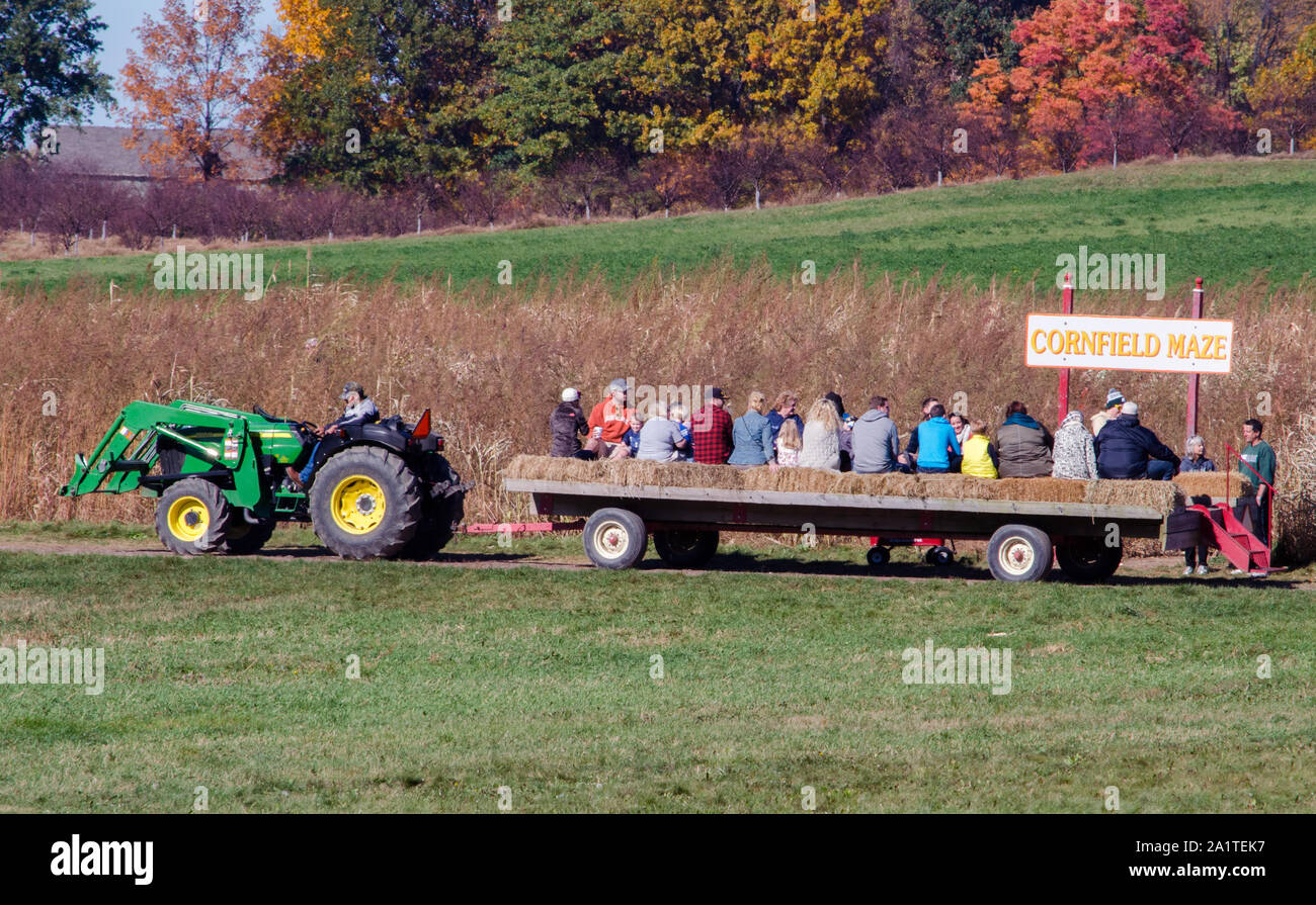 Coloma Michigan STATI UNITI ,Ottobre 25, 2015; famiglie ride su un trattore tirato il carro di fieno, tutti intorno a un Michigan Apple Farm e al di sopra di un divertente campo di mais maze Foto Stock