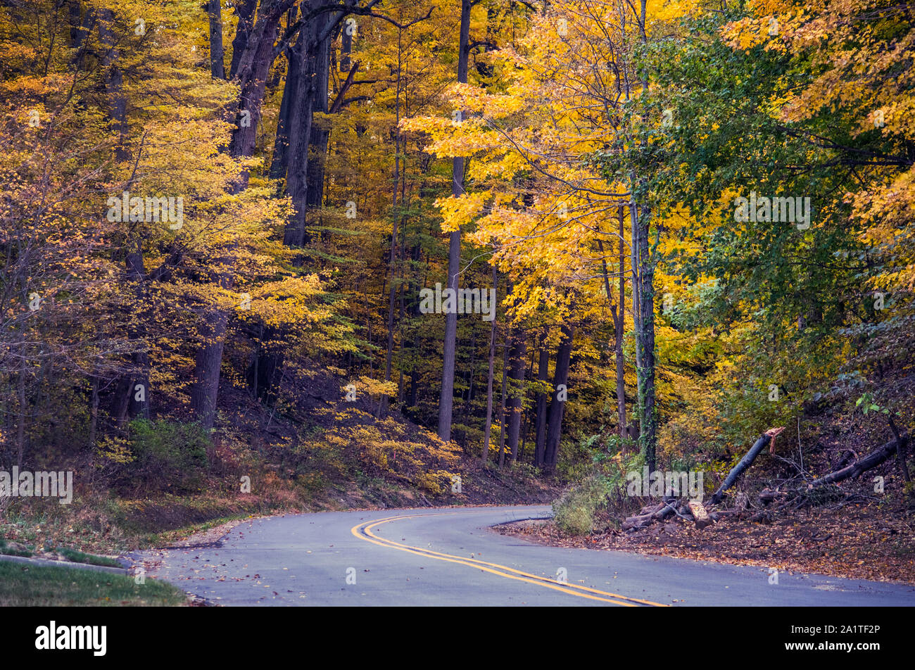 Una strada curva in un bellissimo bosco colorato nelle zone rurali del Michigan STATI UNITI Foto Stock