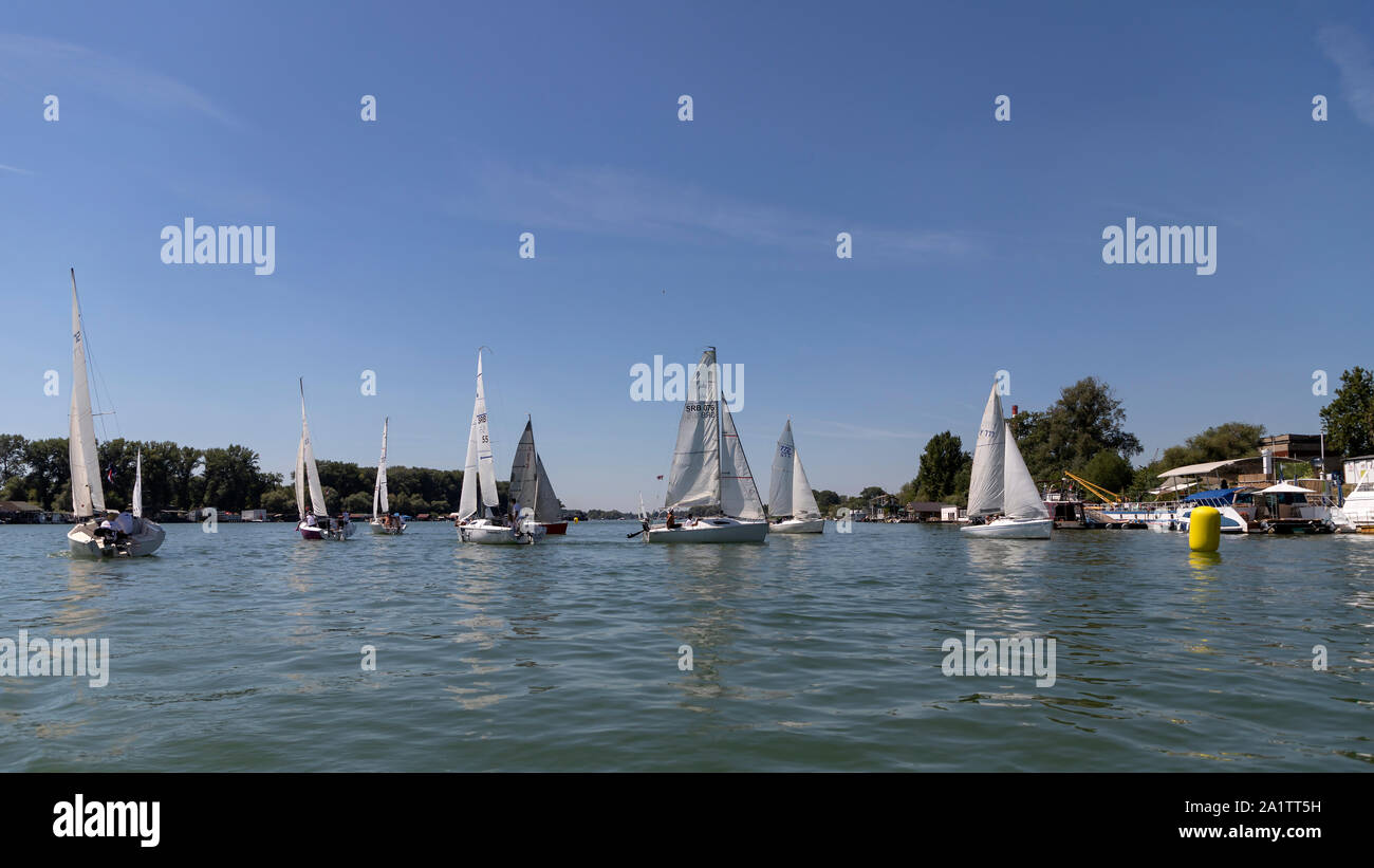 Belgrado, Serbia, Agosto 18, 2019: Tre-persona scuderie concorrenti nella classe Micro regata a vela sul fiume Sava Foto Stock