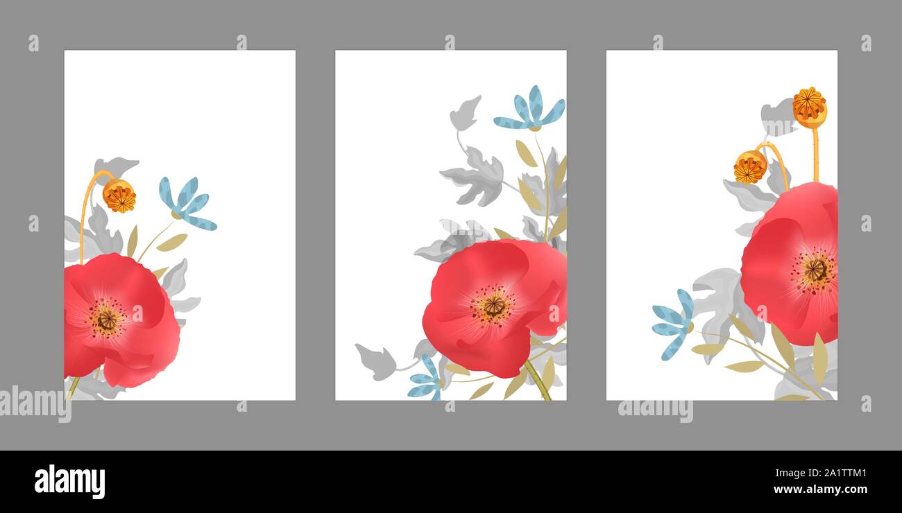 Modelli floreali con papaveri rossi, blu fiori. Illustrazione Vettoriale