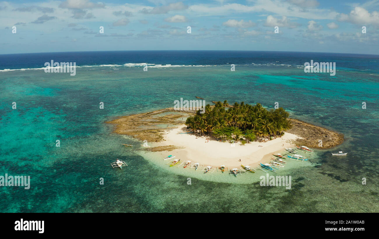 Paesaggio tropicale: Guyam isola con splendida spiaggia, palme da acque turchesi vista da sopra. Siargao, Filippine. Estate viaggi e concetto di vacanza Foto Stock