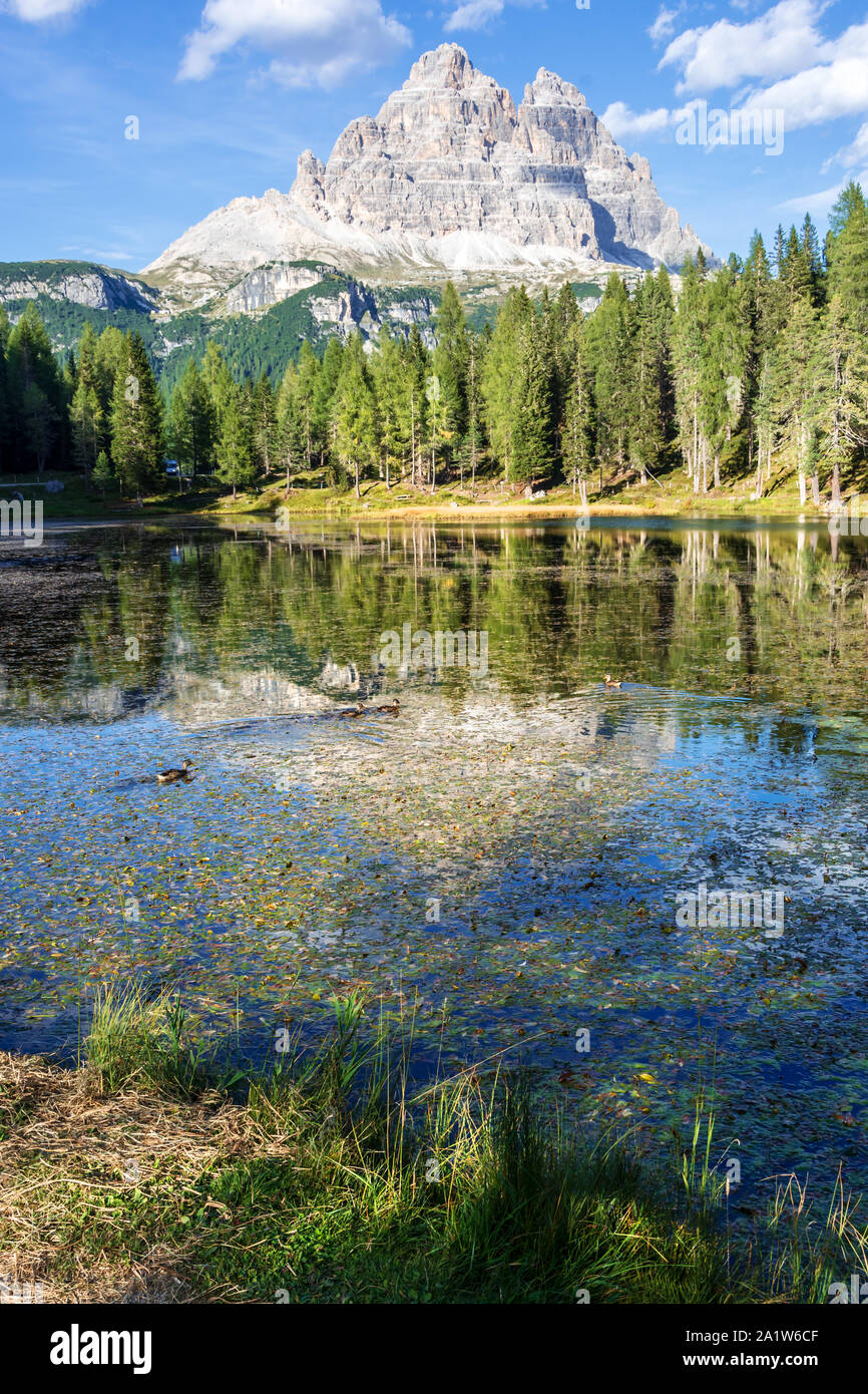 Lago nelle montagne dolomitiche Foto Stock