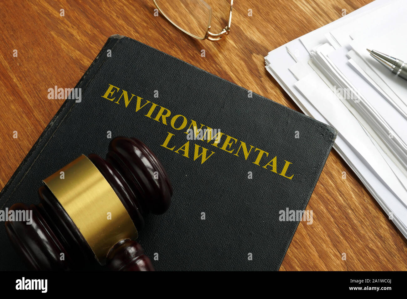 Diritto ambientale prenota con la pila di fogli. Foto Stock