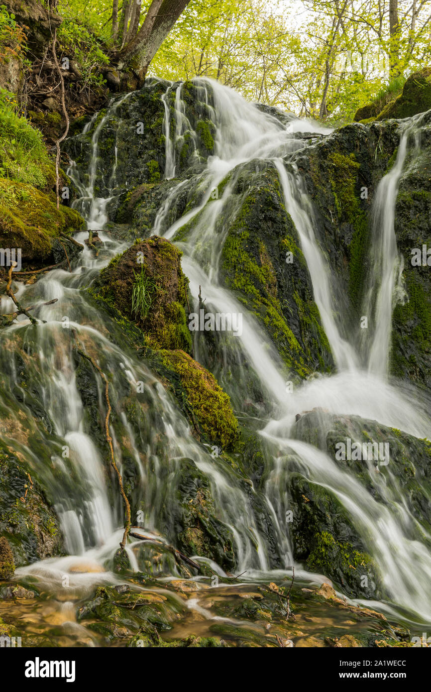 Una cascata nel bosco Foto Stock