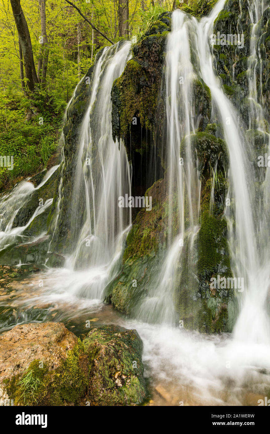Una cascata nel bosco Foto Stock
