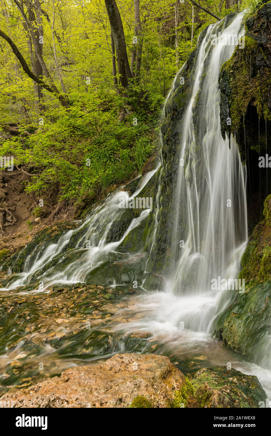 Una cascata nel bosco Foto Stock