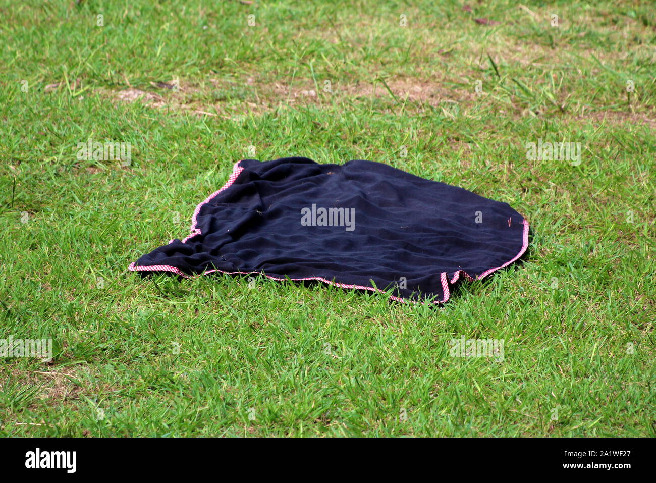 Nero con Rosso e bianco bordo a scacchi Coperta picnic a sinistra su erba non tagliata in attesa per i proprietari di godere e di divertirsi su caldo e soleggiato giorno di estate Foto Stock