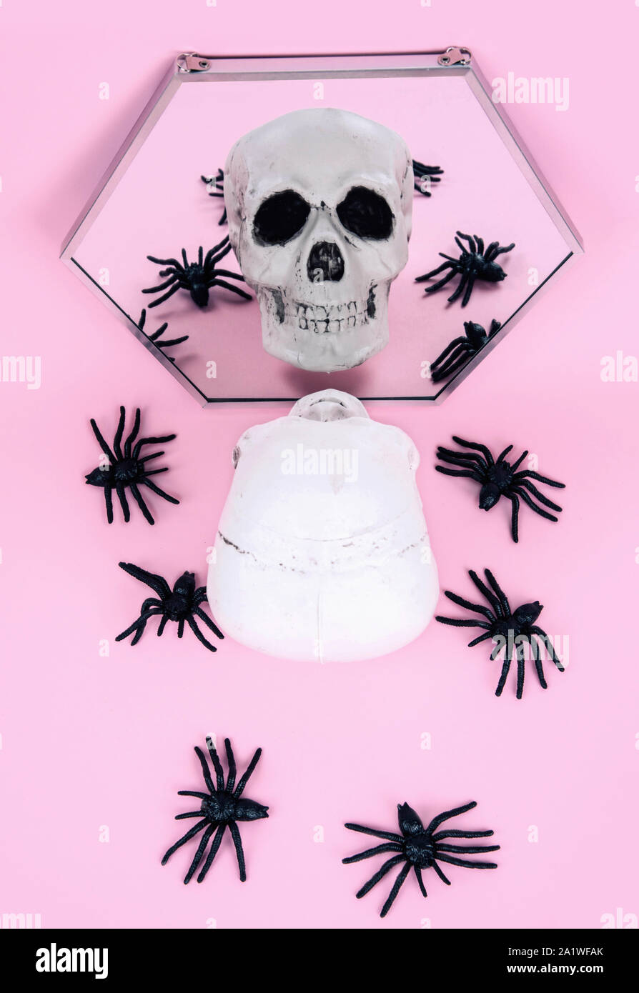 Teschio sul trendy rosa pastello sfondo. Creative concetto di Halloween. Foto Stock