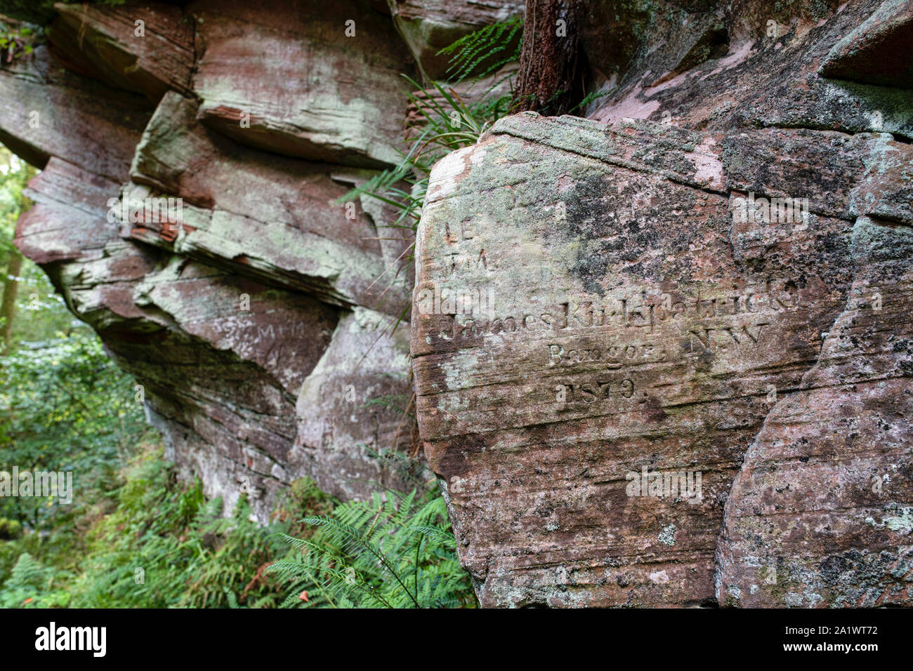 Graffiti vittoriani intagliati nella roccia arenaria a Crichope Linn. Vicino Gatelawbridge, Dumfries and Galloway, Scozia Foto Stock