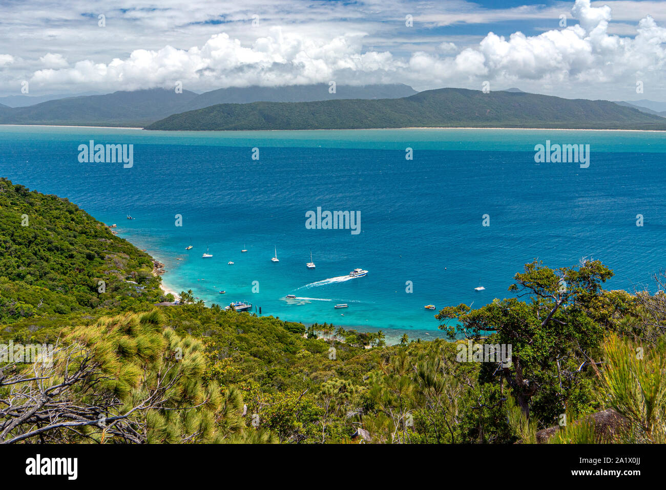 Vista della baia, la spiaggia e il molo da la salita alla vetta del Isola Fitzroy, Tropical North Queensland, Australia Foto Stock