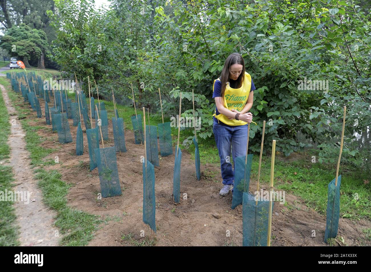 Milano (Italia), piantagione di duecento nuovi alberi nel Parco Lambro, un'iniziativa promossa dal Comune e l'associazione ambientale Legambiente in occasione di Milano la settimana verde Foto Stock