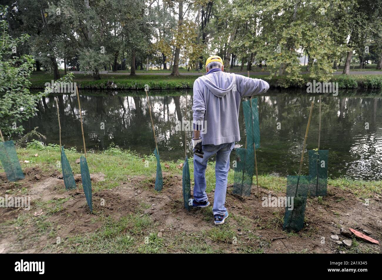 Milano (Italia), piantagione di duecento nuovi alberi nel Parco Lambro, un'iniziativa promossa dal Comune e l'associazione ambientale Legambiente in occasione di Milano la settimana verde Foto Stock