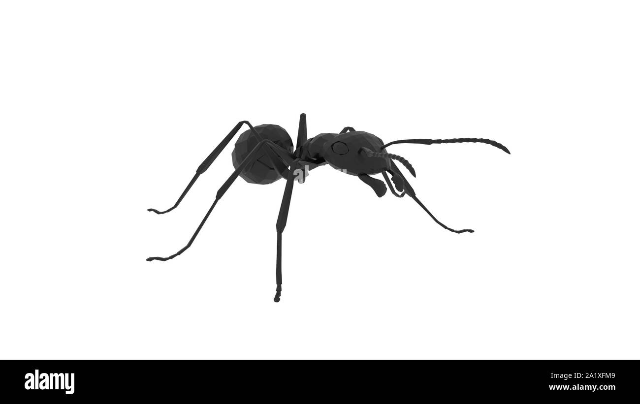 3D rendering di una formica isolato in bianco di sfondo per studio Foto Stock