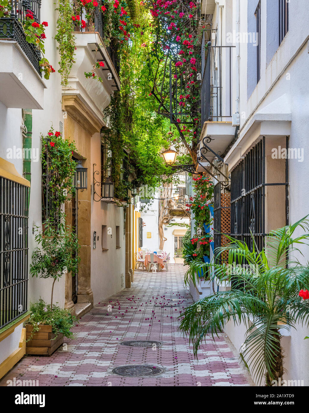 Un pittoresco e strada stretta a Marbella città vecchia, provincia di Malaga, Spagna. Foto Stock