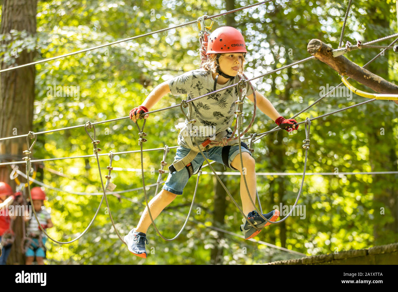 Falesia, corso di arrampicata, boy, 9 anni, con il casco e il cablaggio a un corso di arrampicata in una foresta, Foto Stock