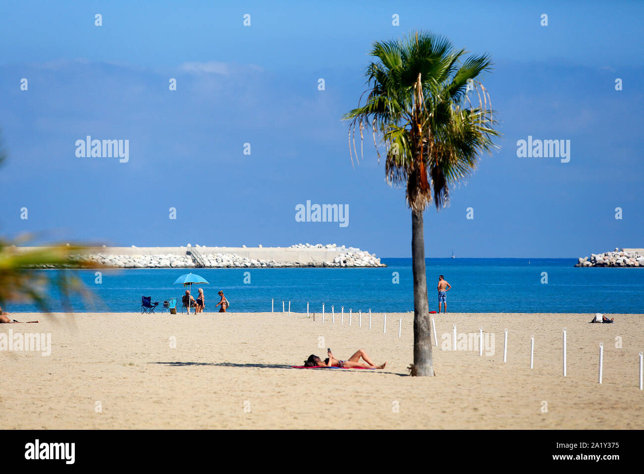 Fine settembre lucertole da mare sulla spiaggia di Pescara (Italia). Foto Stock