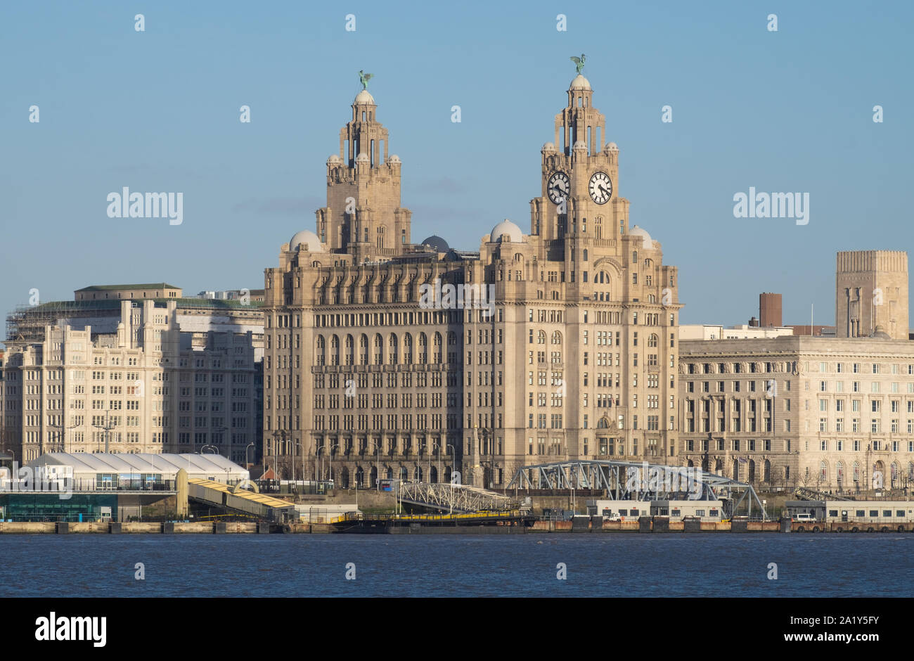 Royal Liver Building, Liverpool, Regno Unito Foto Stock