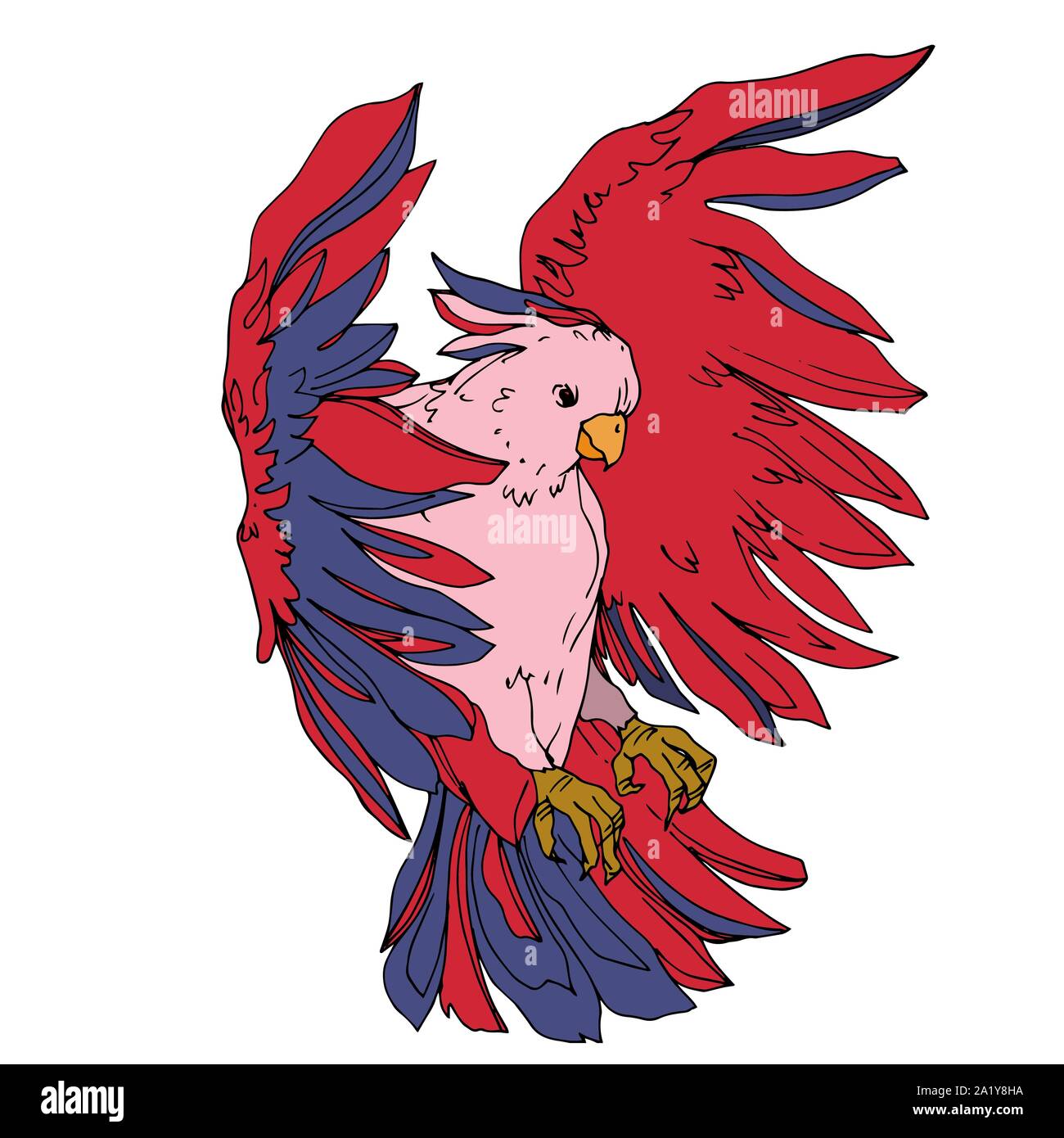 Vettore di uccelli del cielo cacatua in un isolato della fauna selvatica. Libertà selvaggia, uccello con ali battenti. Bianco e nero inchiostro inciso art. Isolato illustratio parrot Illustrazione Vettoriale