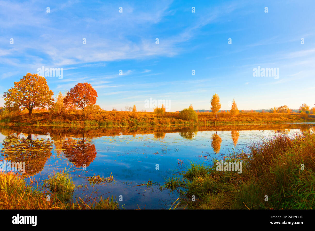 Bella autunno in natura, il cielo blu e foresta lago calmo. Foto Stock