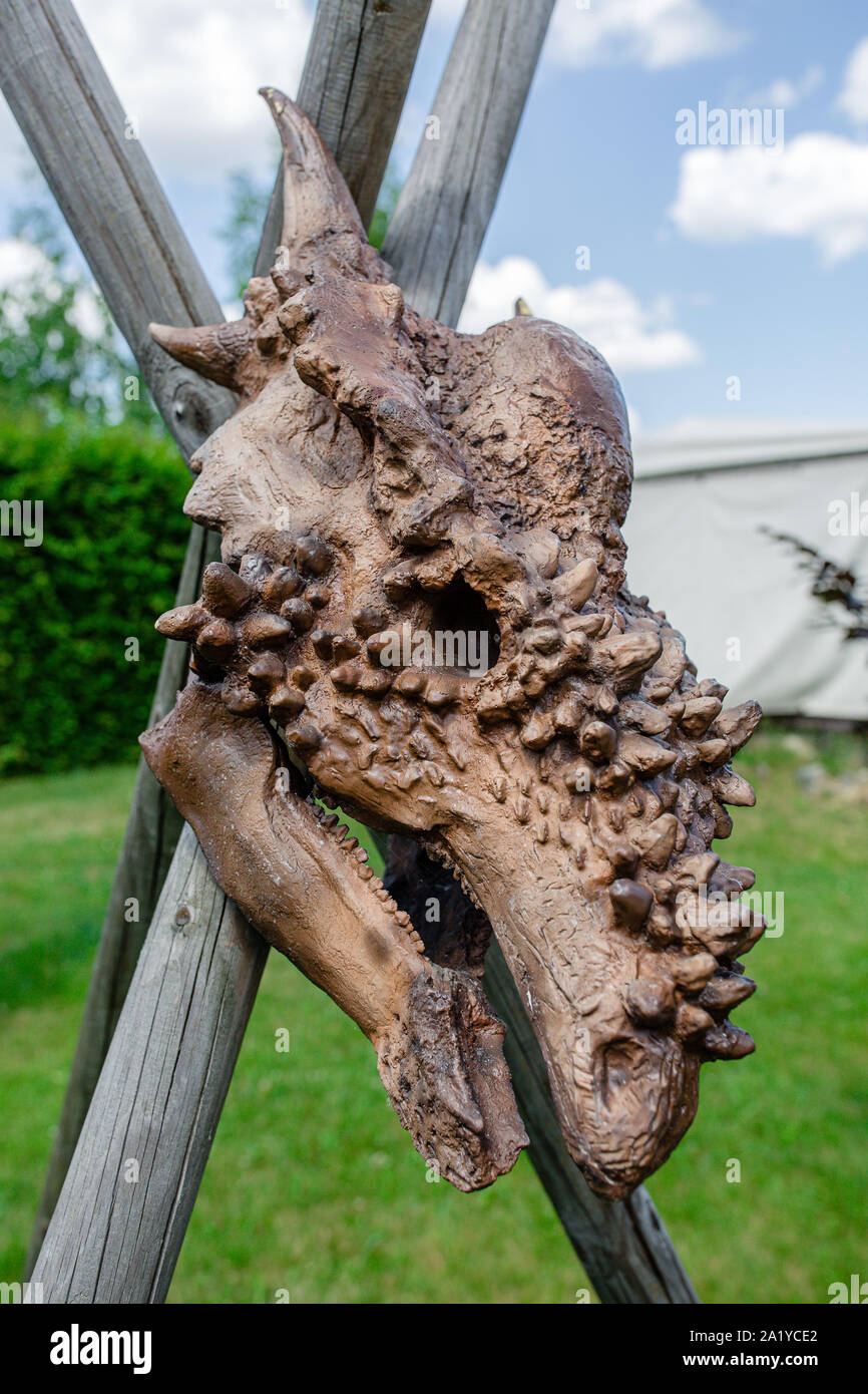 Cranio artificiale di stygimoloch spinifer dinosauro dal genere pachycephalosaurid visualizzato nel parco dei dinosauri museo situato nel Inwald, Polonia. Foto Stock