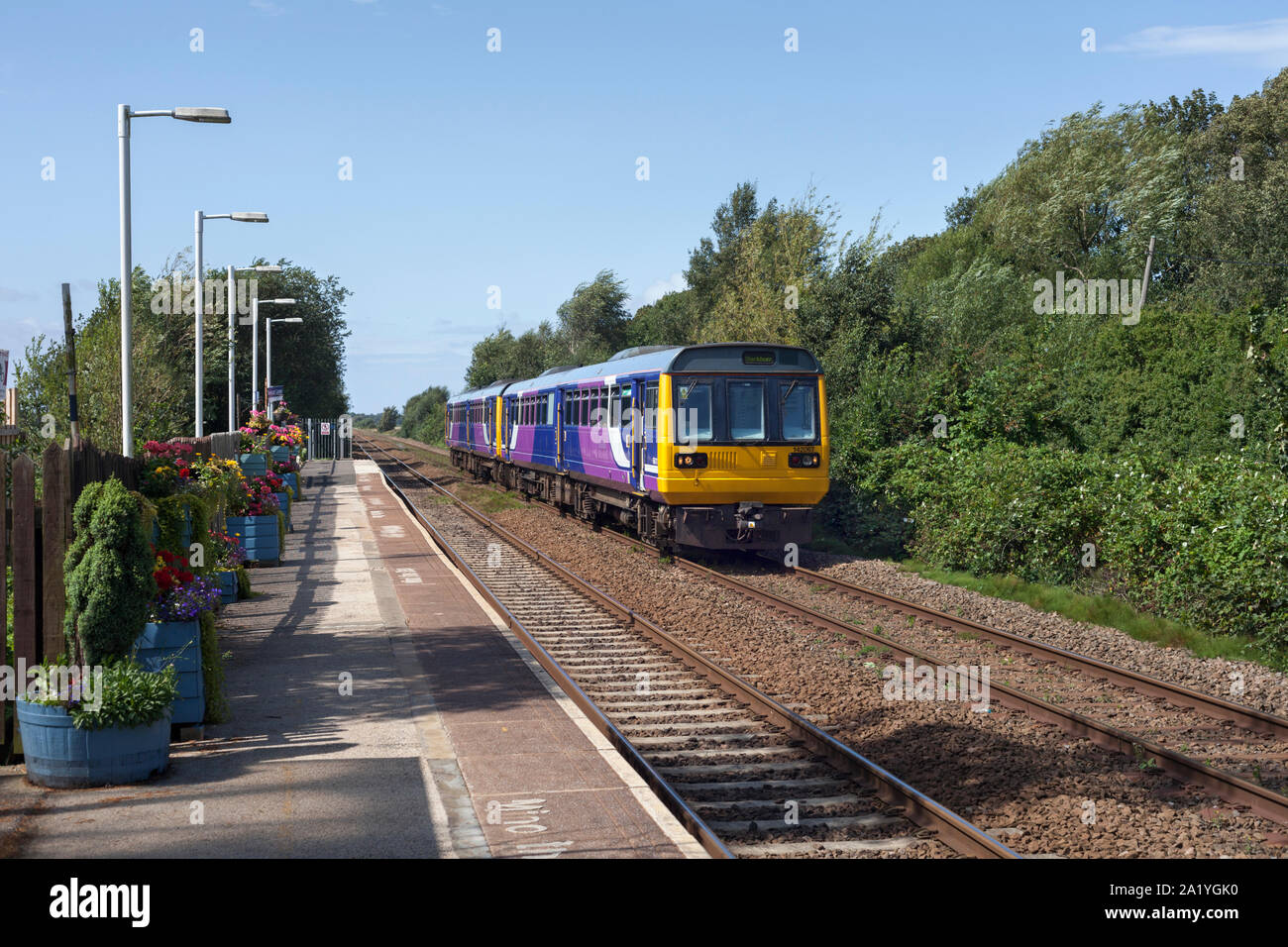 Ferrovia nord classe 142 pacer trains142067 + 142054 passando Bescar Lane stazione ferroviaria, Lancashire con vasi di fiori sulla piattaforma della stazione. Foto Stock