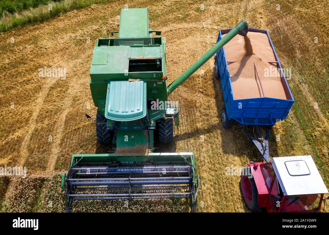 La raccolta di grano dalla mietitrebbia per il rimorchio del trattore, aeial vista da fuco Foto Stock