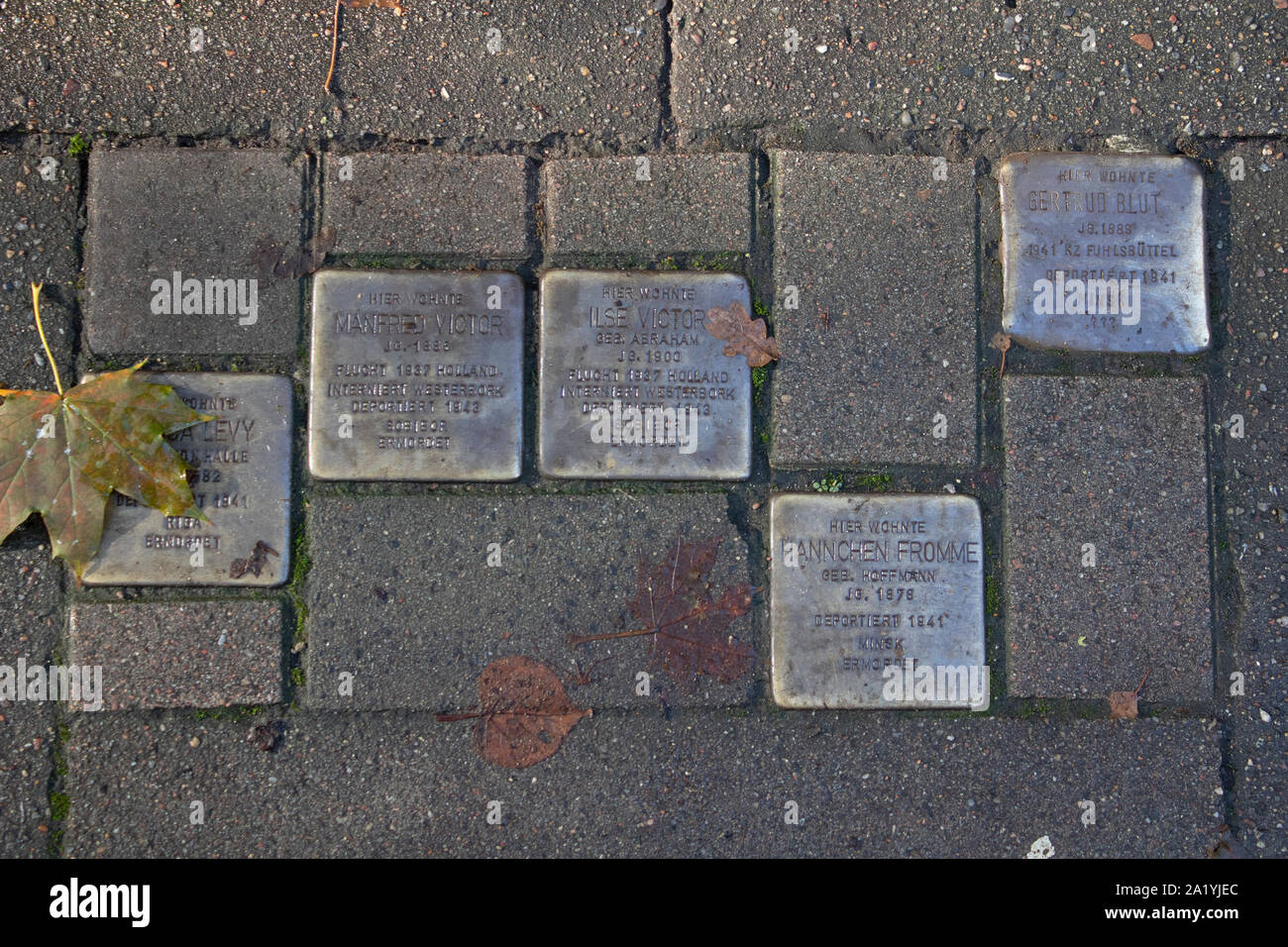 Le pietre di inciampo al di fuori residences in Amburgo, Grmany Foto Stock