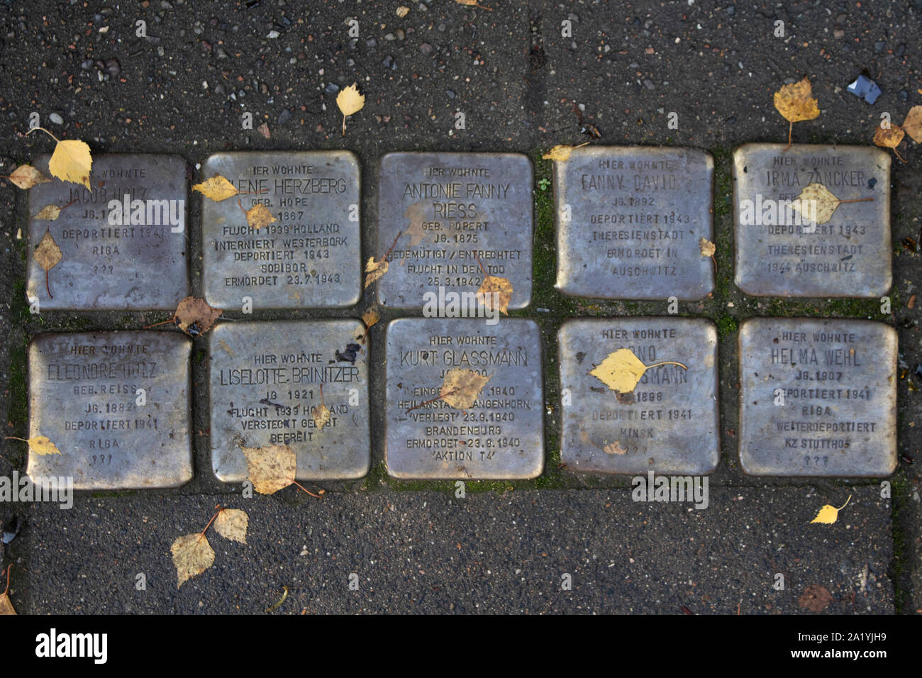 Le pietre di inciampo al di fuori residences in Amburgo, Grmany Foto Stock