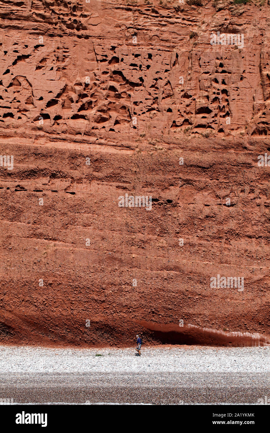 Torreggianti scogliere di arenaria sulla East Devon Coast. Regno Unito. Rock, strati, Foto Stock