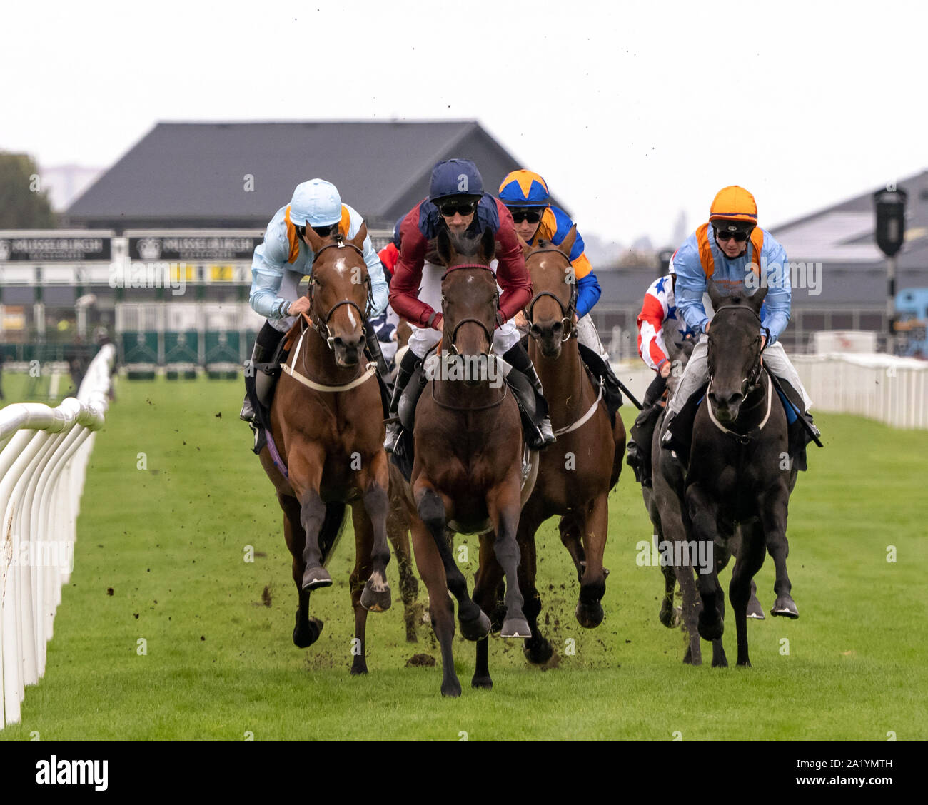 Jockey Daniel Tudhope (plain blue hat) su Johan, vincitore - Stallone irlandese fattorie EBF novizio picchetti (più 10 Gara) a Musselburgh - 29 settembre 2019. Foto Stock