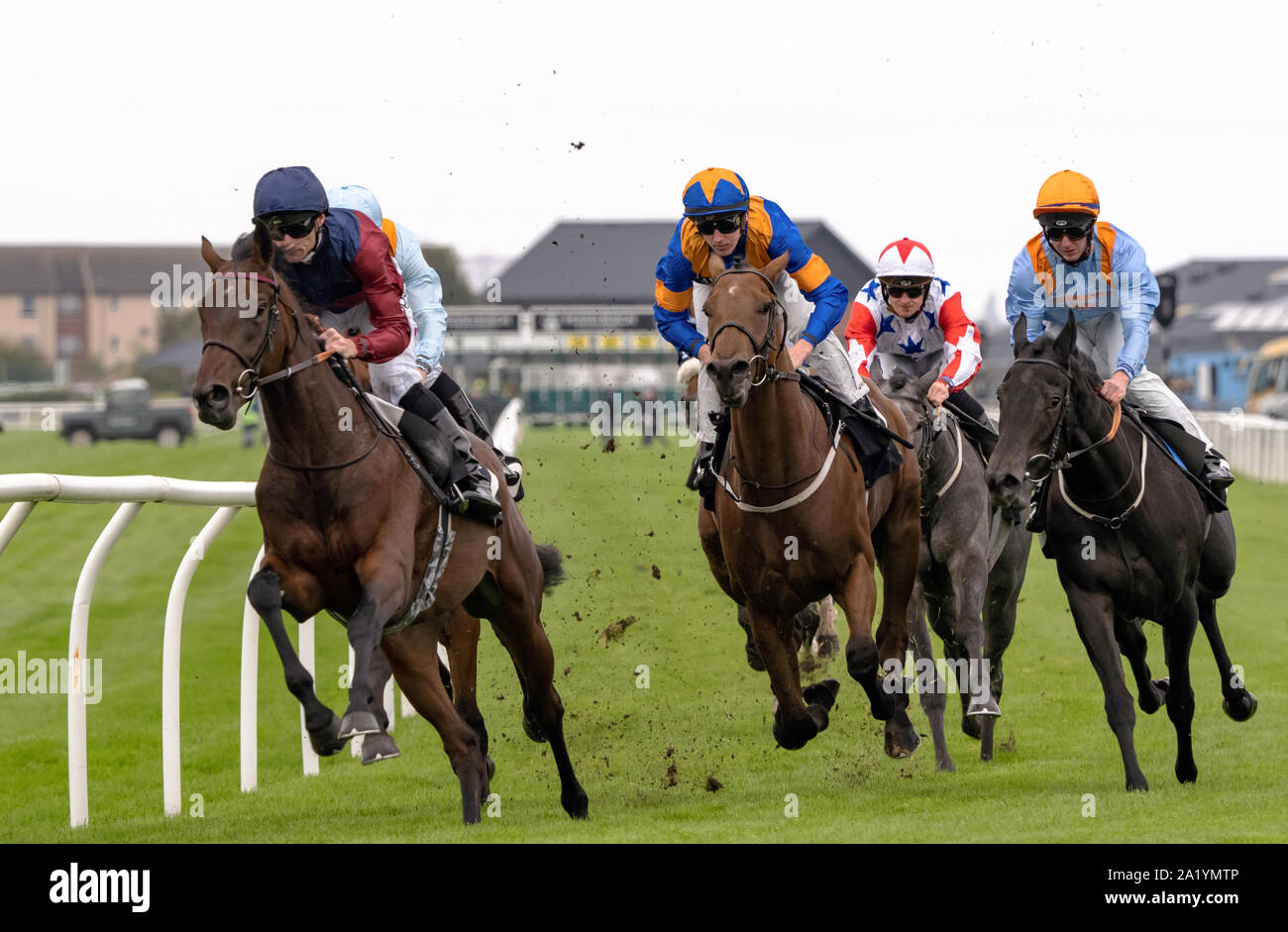 Jockey Daniel Tudhope (plain blue hat) su Johan, vincitore - Stallone irlandese fattorie EBF novizio picchetti (più 10 Gara) a Musselburgh - 29 settembre 2019. Foto Stock