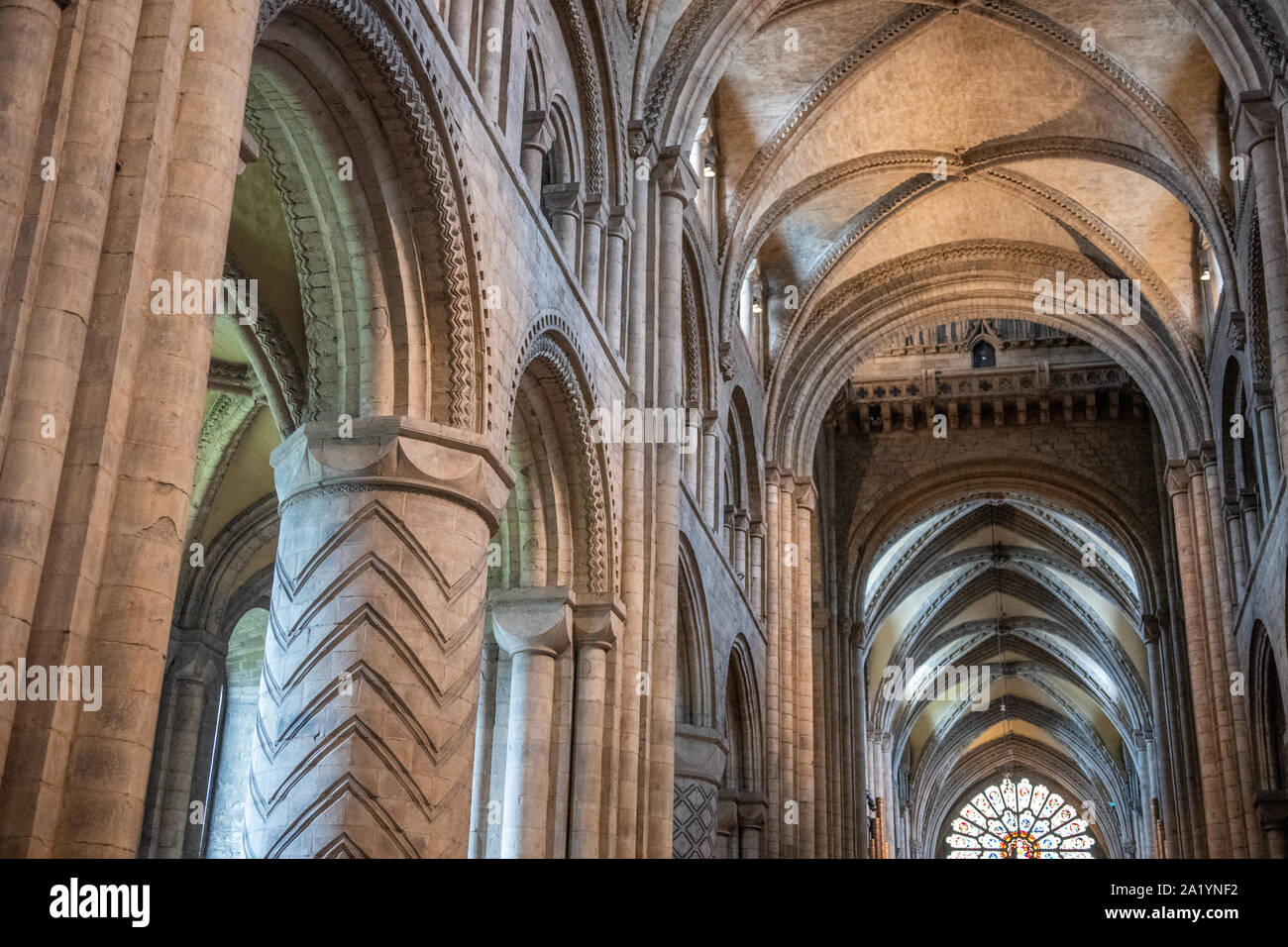 La nervatura soffitti a volta entro la Cattedrale di Durham, Durham, Regno Unito. Foto Stock