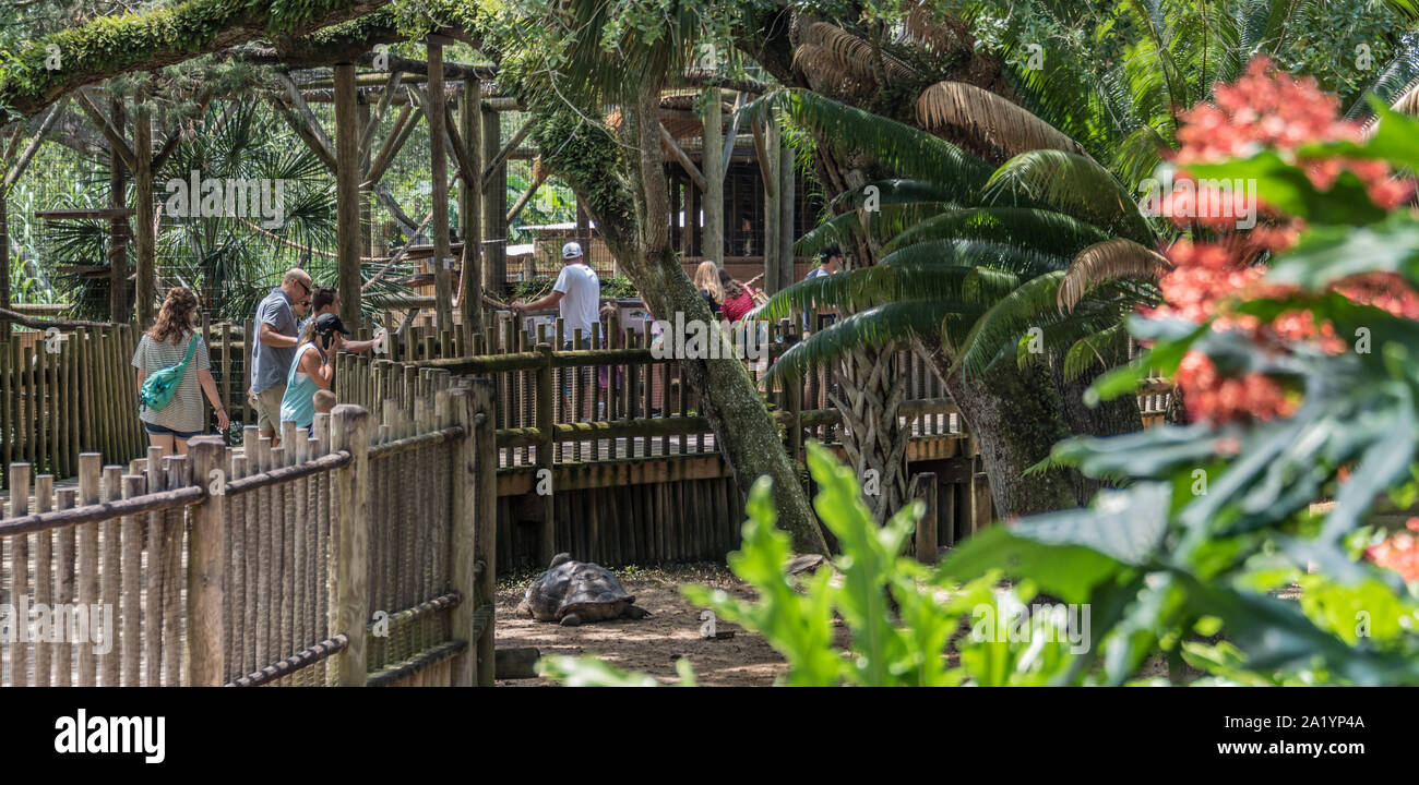 Per coloro che godono di una visita estiva al Sant'Agostino Alligator Farm Zoological Park su Anastasia Isola di Sant'Agostino, Florida. (USA) Foto Stock