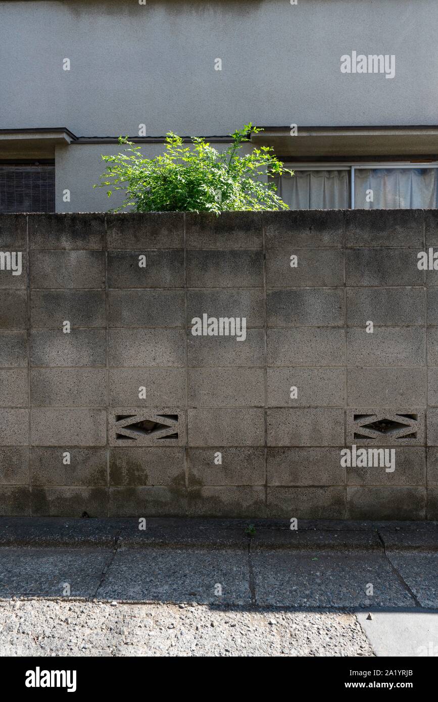 Blocco di muro, Setagaya-Ku, Tokyo, Giappone Foto Stock
